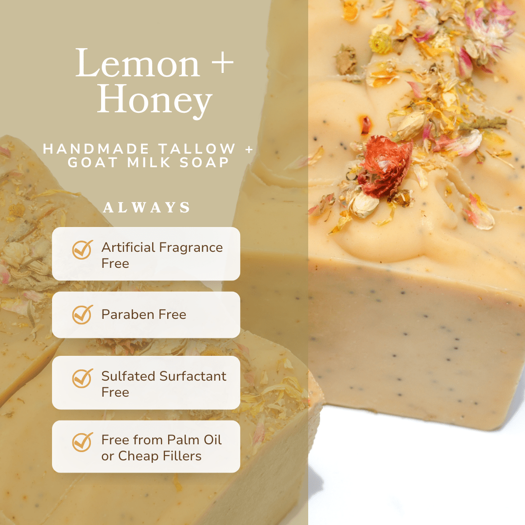 Lemon + Honey + Poppy Seed Handmade Tallow and Goat Milk Soap Bar - Grace & Grit Boutique