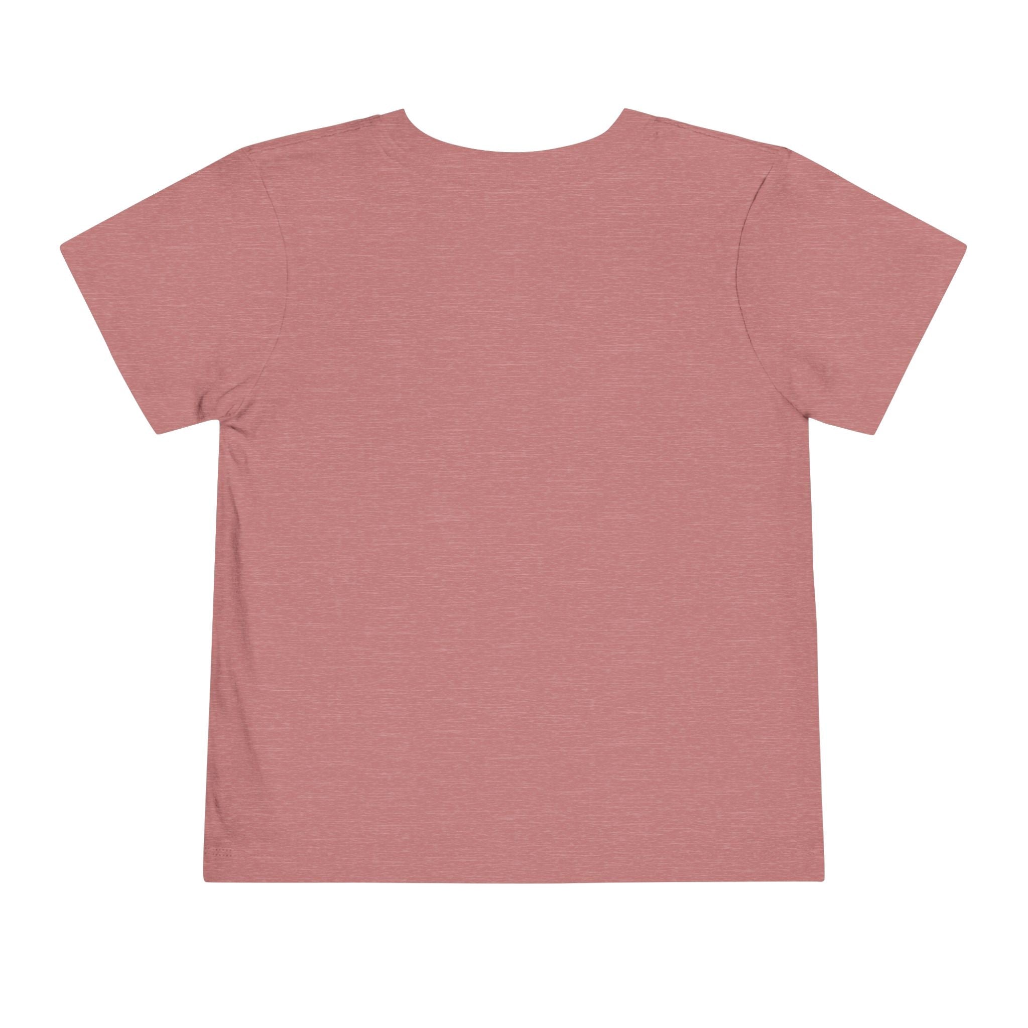 Let Me Tell You About My Jesus Toddler Tee — Colorful Christian Kids Shirt - Grace & Grit Boutique